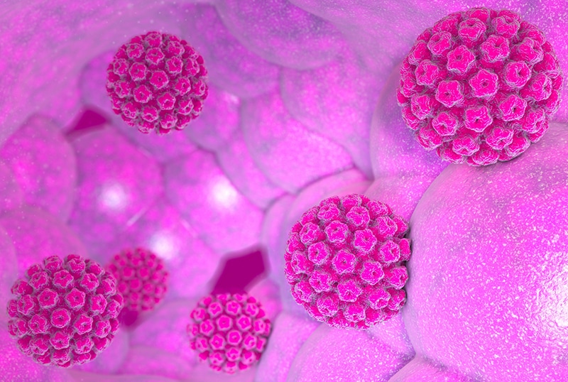 Virus HPV khiến các tế bào phát triển bất thường gây ung thư