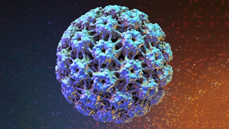 Có nhiều con đường khiến virus HPV có thể lây lan