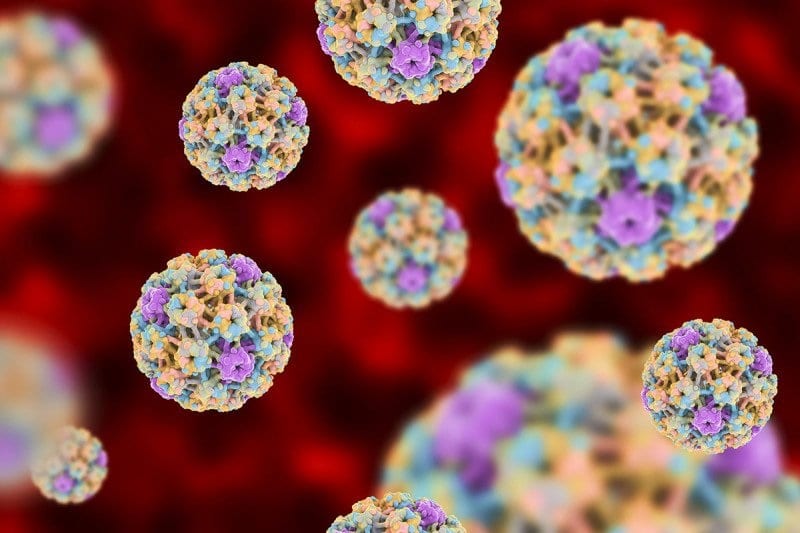 HPV là nguyên nhân gây nhiều bệnh ung thư nguy hiểm